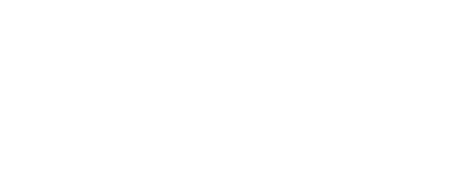 Ariete.png
